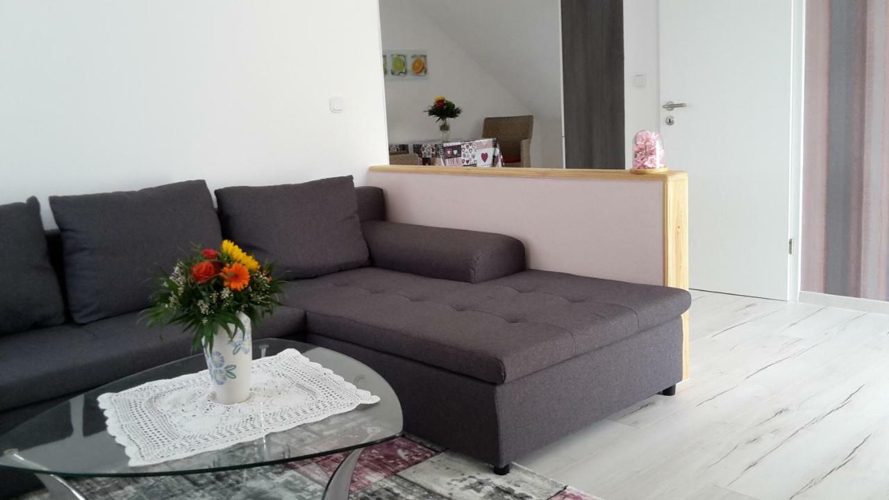 Ferienwohnung Schoenblick Waldmünchen エクステリア 写真