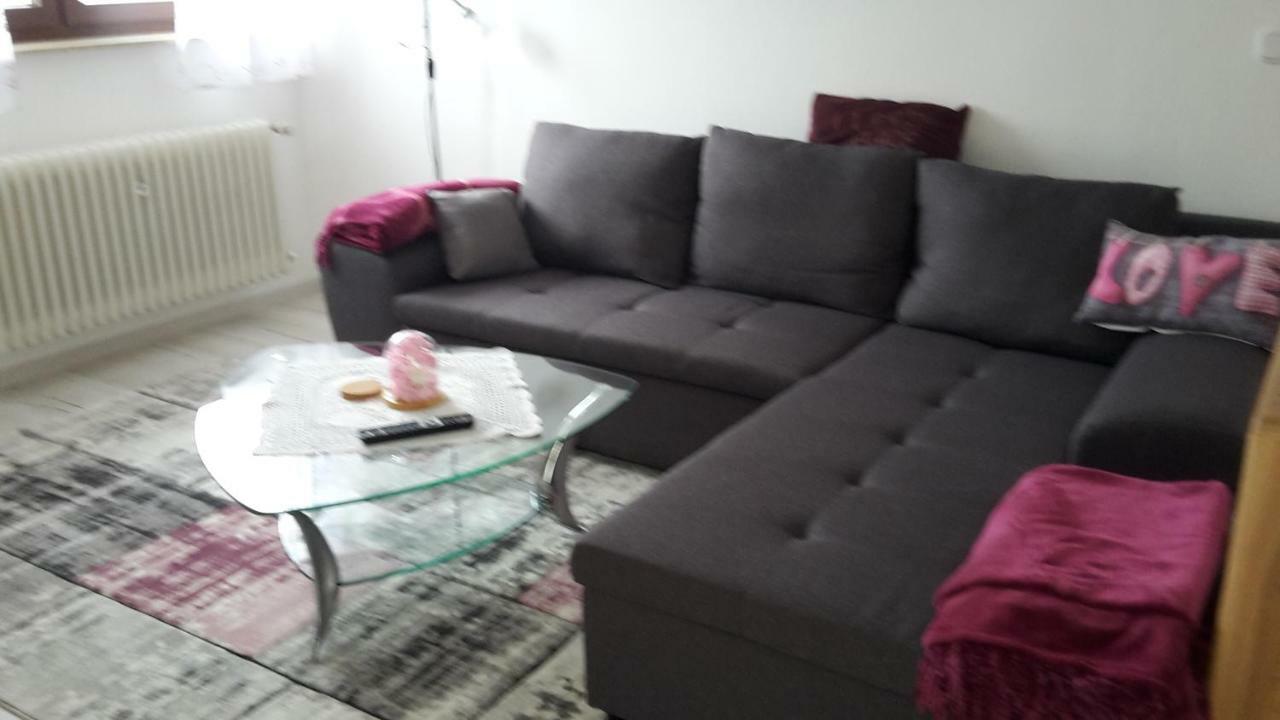 Ferienwohnung Schoenblick Waldmünchen エクステリア 写真