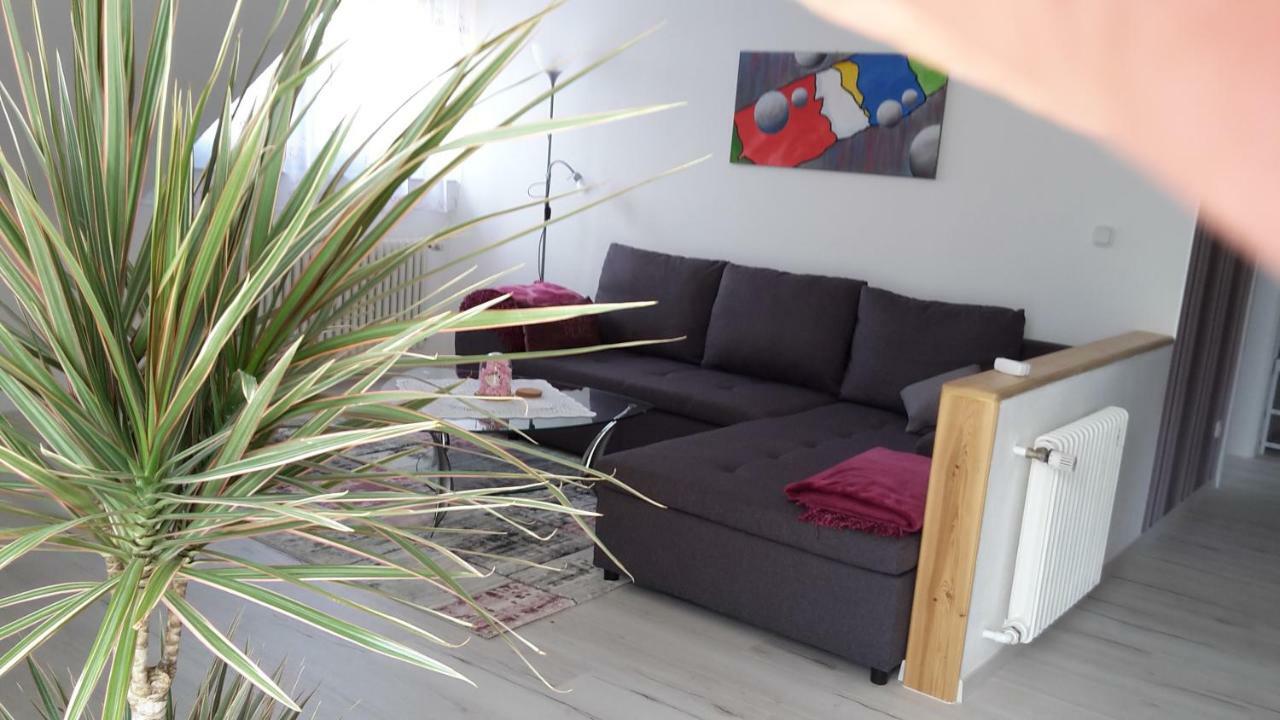 Ferienwohnung Schoenblick Waldmünchen エクステリア 写真