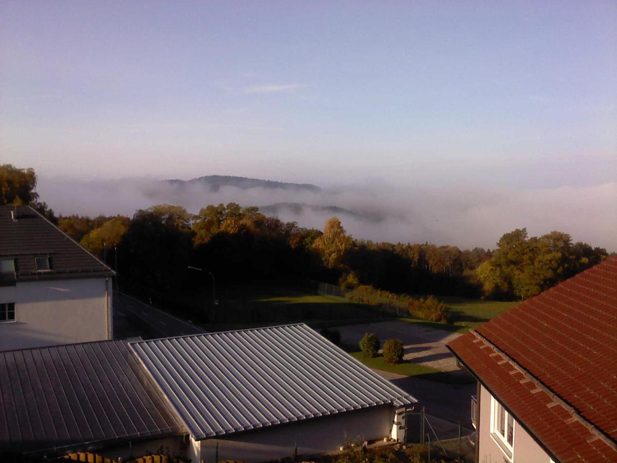Ferienwohnung Schoenblick Waldmünchen エクステリア 写真