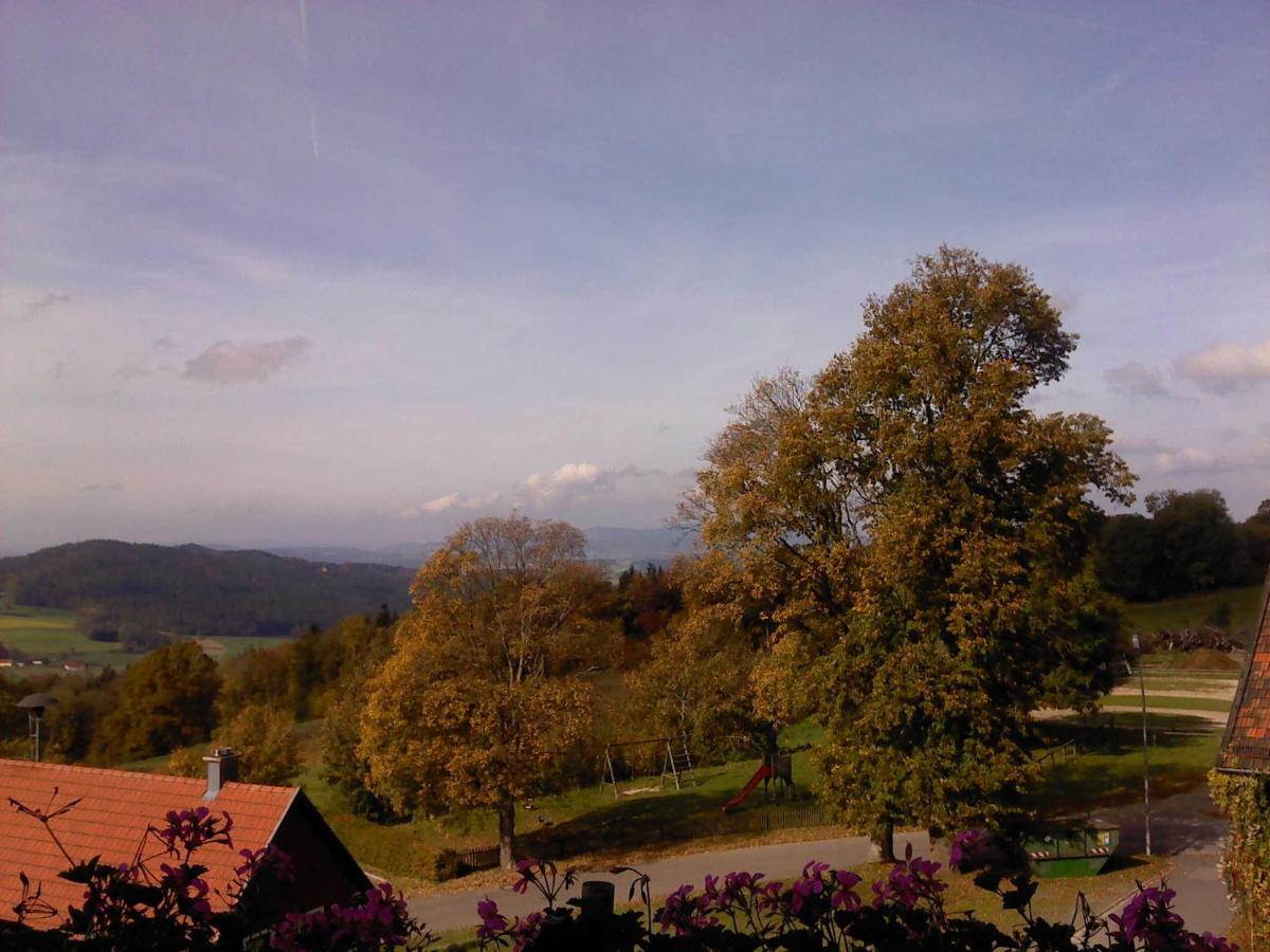 Ferienwohnung Schoenblick Waldmünchen エクステリア 写真