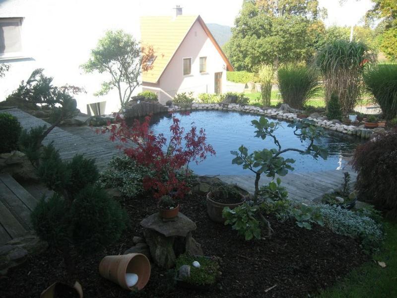 Ferienwohnung Schoenblick Waldmünchen エクステリア 写真
